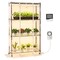 Indoor Greenhouse with Grow Light, 59in 4-Tier Plant Stand with Cover